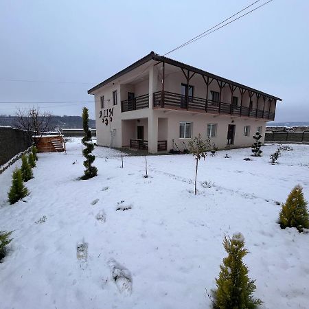 Pensiunea Alin Hotel Sisesti  Luaran gambar