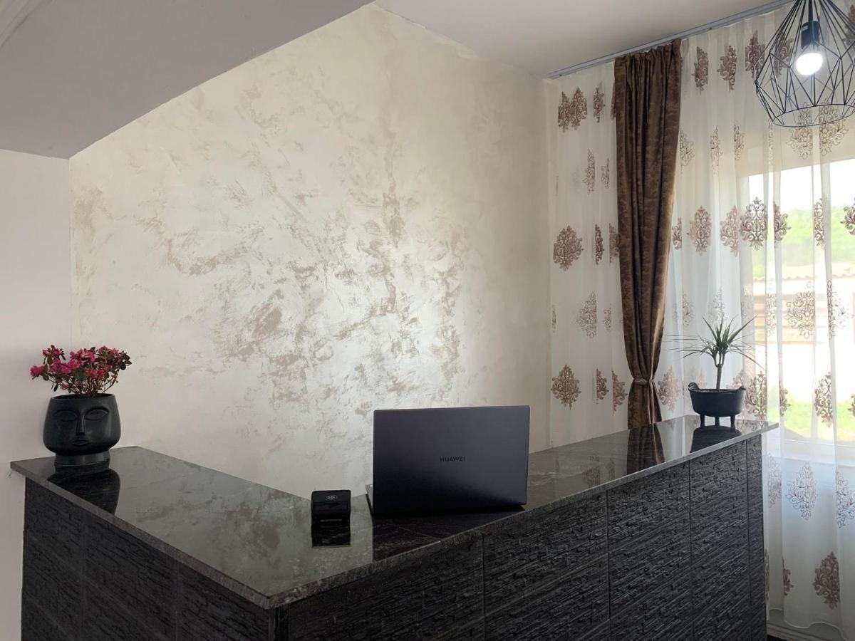 Pensiunea Alin Hotel Sisesti  Luaran gambar
