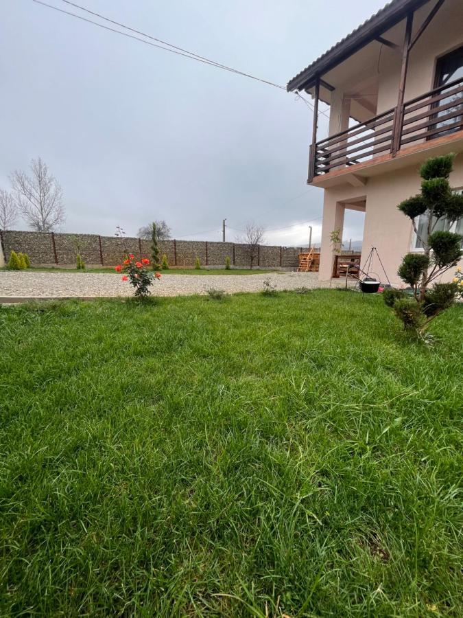 Pensiunea Alin Hotel Sisesti  Luaran gambar